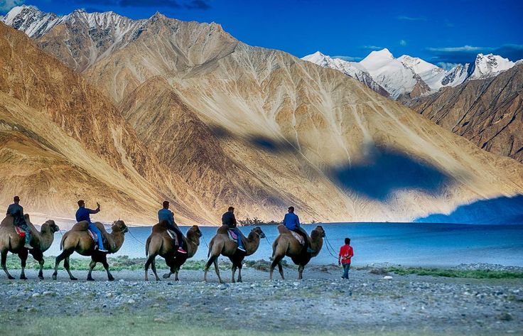 #ladakh #wonder #leh #nubra valley